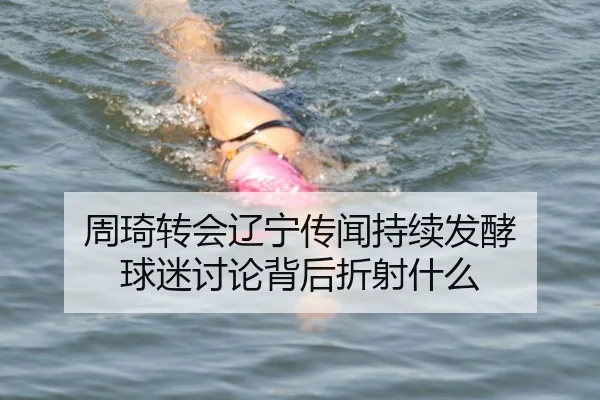 周琦转会辽宁传闻持续发酵 球迷讨论背后折射什么